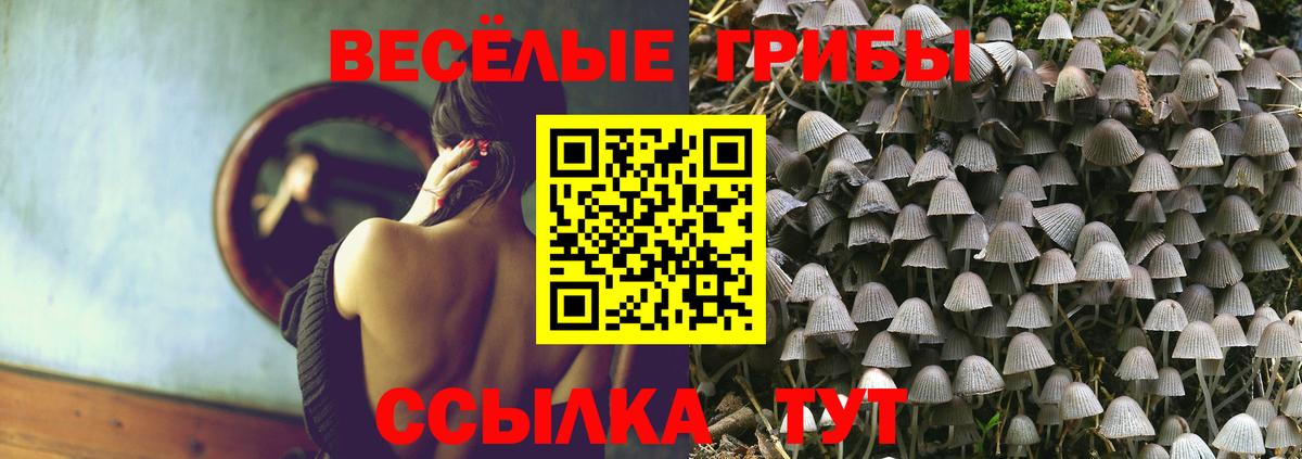 Галлюциногенные грибы Magic Shrooms Конаково