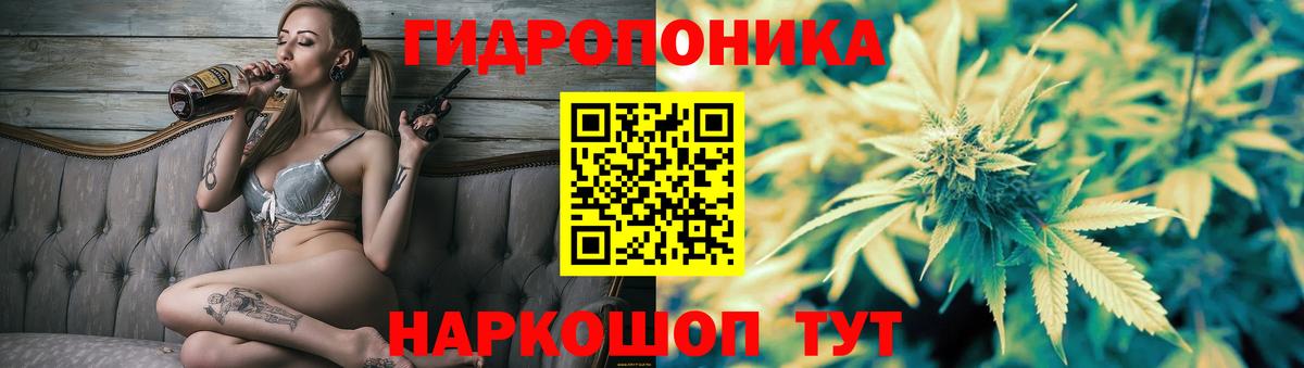 Конопля AK-47 Конаково